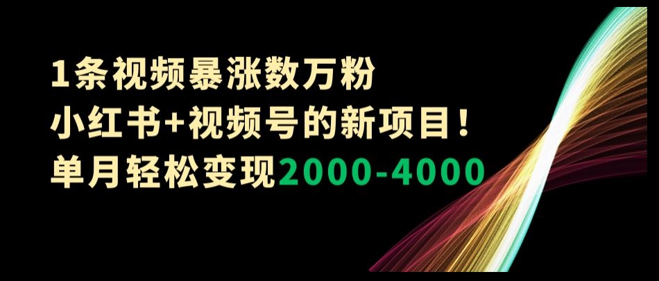 1条视频暴涨数万粉–小红书+视频号的新项目！单月轻松变现2000-4000【揭秘】-一点通资源网