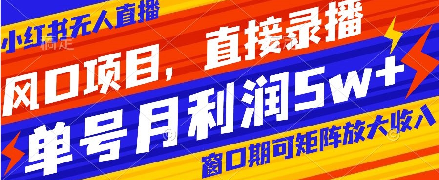 风口项目，小红书无人直播带货，直接录播，可矩阵，月入5w+【揭秘】-一点通资源网