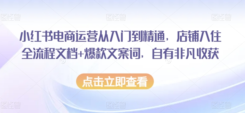 小红书电商运营从入门到精通，店铺入住全流程文档+爆款文案词，自有非凡收获-一点通资源网
