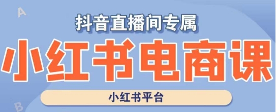 小红书电商高级运营课程，实操教学+案例分析-一点通资源网