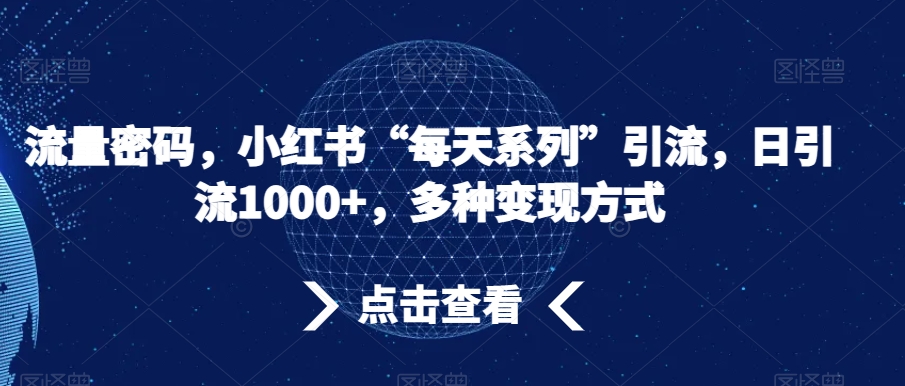 流量密码，小红书“每天系列”引流，日引流1000+，多种变现方式【揭秘】-一点通资源网