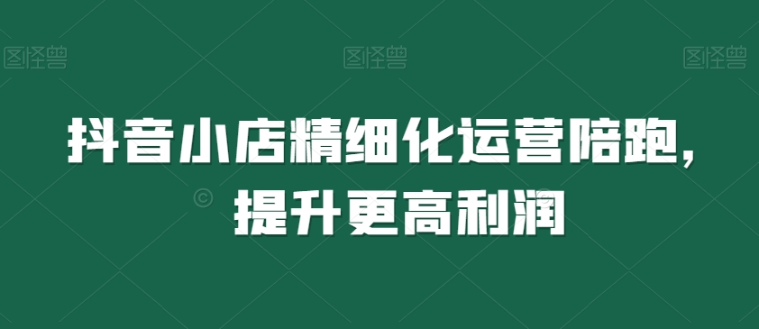 抖音小店精细化运营陪跑，提升更高利润-一点通资源网