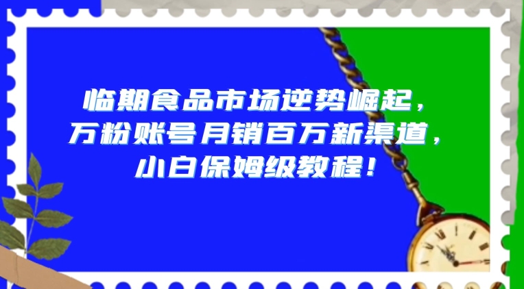 临期食品市场逆势崛起，万粉账号月销百万新渠道，小白保姆级教程【揭秘】-一点通资源网