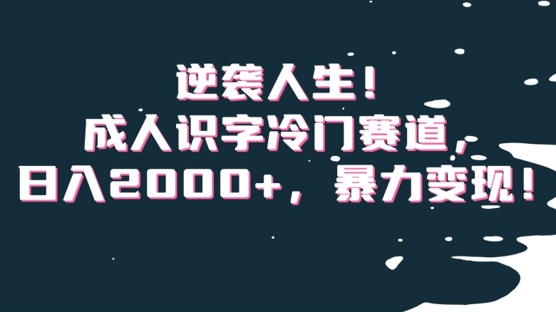 逆袭人生！成人识字冷门赛道，日入2000+，暴力变现！【揭秘】-一点通资源网
