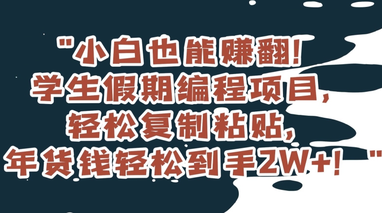 小白也能赚翻！学生假期编程项目，轻松复制粘贴，年货钱轻松到手2W+【揭秘】-一点通资源网