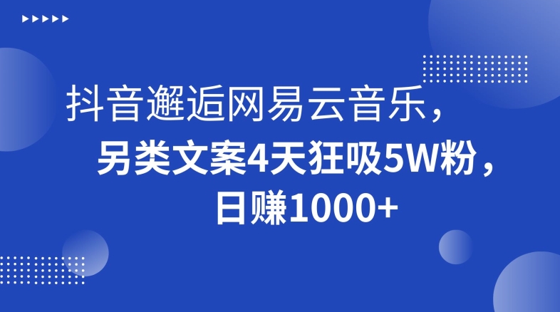 抖音邂逅网易云音乐，另类文案4天狂吸5W粉，日赚1000+【揭秘】-一点通资源网