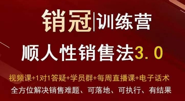 爆款！销冠训练营3.0之顺人性销售法，全方位解决销售难题、可落地、可执行、有结果-一点通资源网
