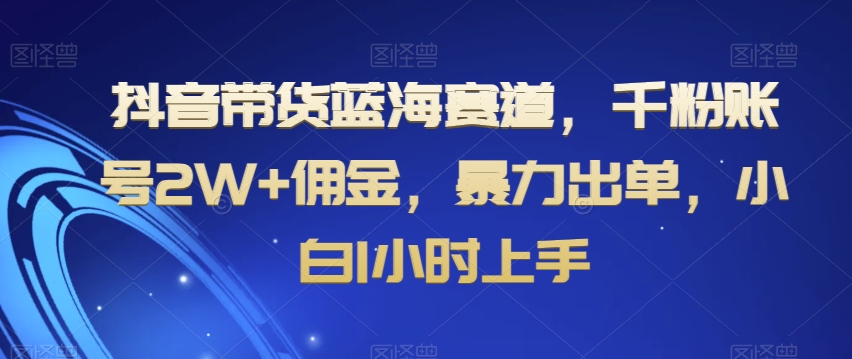 抖音带货蓝海赛道，千粉账号2W+佣金，暴力出单，小白1小时上手【揭秘】-一点通资源网