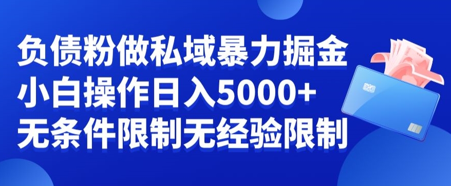 负债粉私域暴力掘金，小白操作入5000，无经验限制，无条件限制【揭秘】-一点通资源网