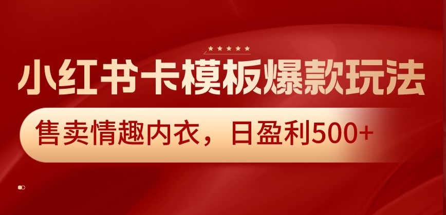 小红书卡模板爆款玩法，售卖情趣内衣，日盈利500+【揭秘】-一点通资源网
