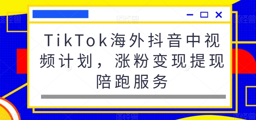 TikTok海外抖音中视频计划，涨粉变现提现陪跑服务-一点通资源网