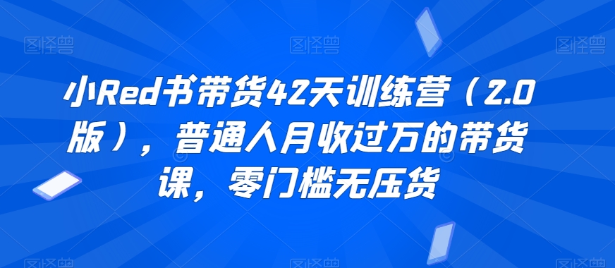 小Red书带货42天训练营（2.0版），普通人月收过万的带货课，零门槛无压货-一点通资源网