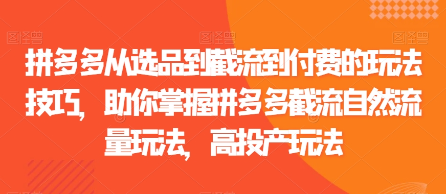 拼多多从选品到截流到付费的玩法技巧，助你掌握拼多多截流自然流量玩法，高投产玩法-一点通资源网
