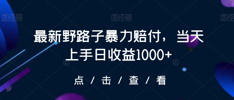 最新野路子暴力赔付，当天上手日收益1000+【仅揭秘】-一点通资源网