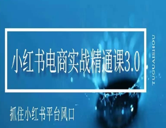 小红书电商实战精通课3.0，抓住小红书平台的风口，不错过有一个赚钱的机会-一点通资源网