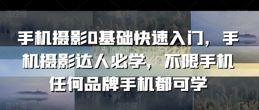 手机摄影0基础快速入门，手机摄影达人必学，不限手机任何品牌手机都可学-一点通资源网