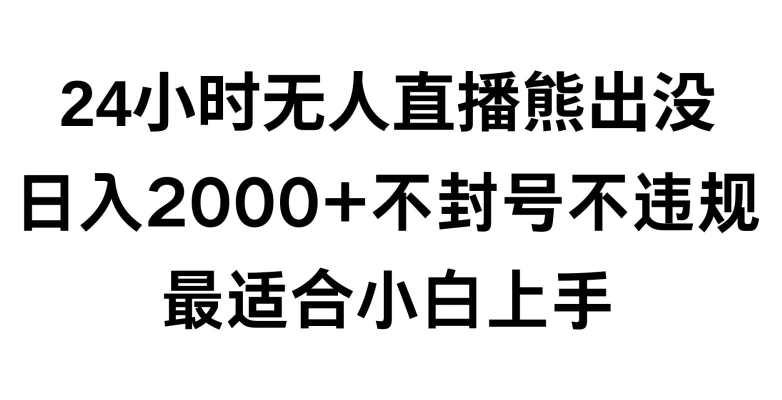快手24小时无人直播熊出没，不封直播间，不违规，日入2000+，最适合小白上手，保姆式教学【揭秘】-一点通资源网