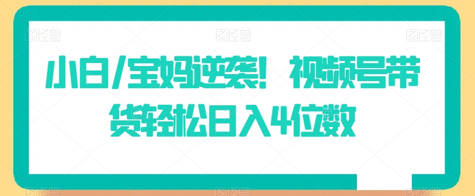 小白/宝妈逆袭！视频号带货轻松日入4位数【揭秘】-一点通资源网