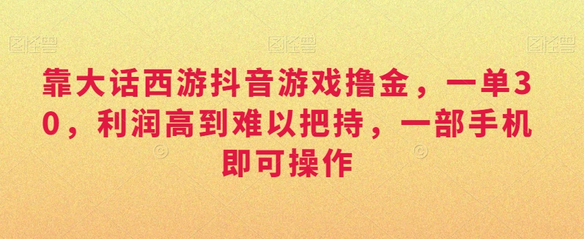 靠大话西游抖音游戏撸金，一单30，利润高到难以把持，一部手机即可操作，日入3000+【揭秘】-一点通资源网