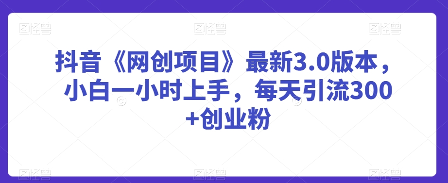 抖音《网创项目》最新3.0版本，小白一小时上手，每天引流300+创业粉【揭秘】-一点通资源网