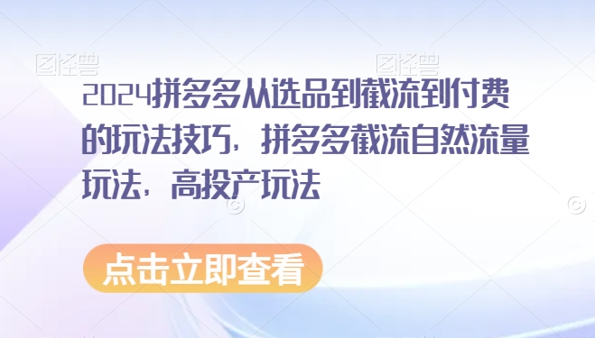 2024拼多多从选品到截流到付费的玩法技巧，拼多多截流自然流量玩法，高投产玩法-一点通资源网
