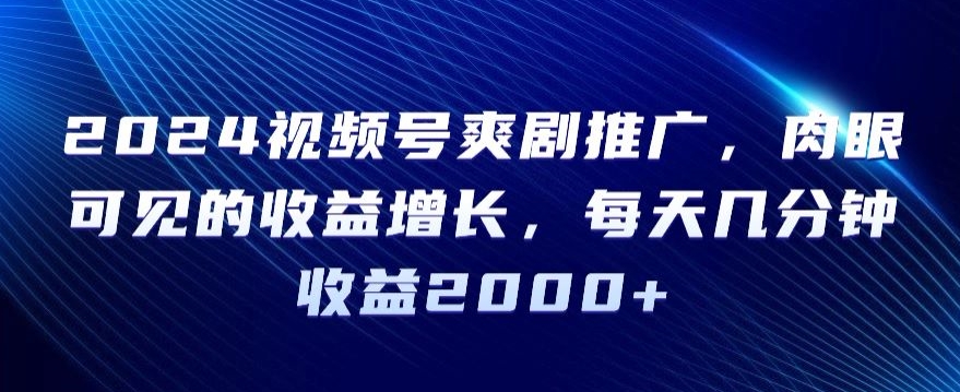 2024视频号爽剧推广，肉眼可见的收益增长，每天几分钟收益2000+【揭秘】-一点通资源网