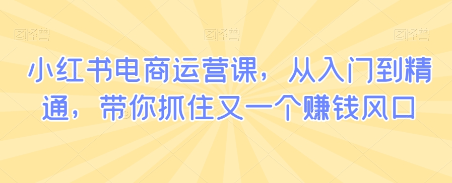 小红书电商运营课，从入门到精通，带你抓住又一个赚钱风口-一点通资源网