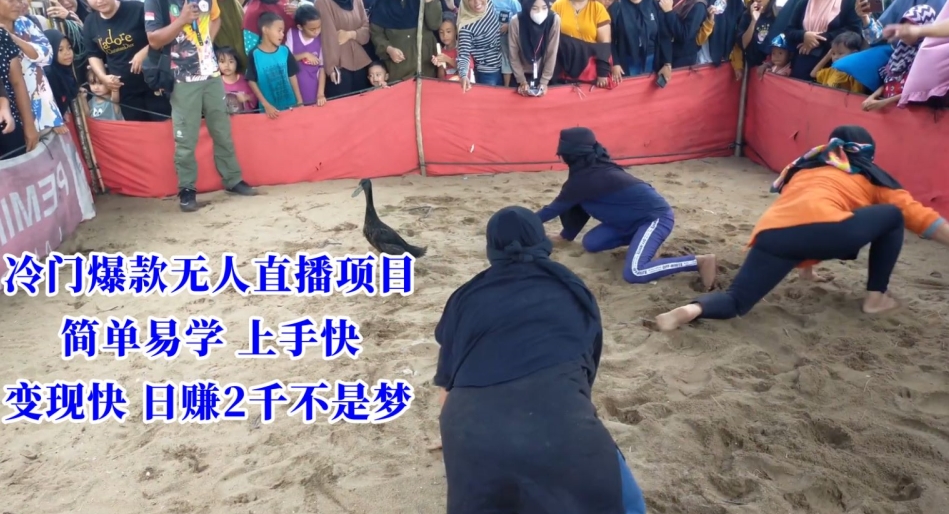 冷门爆款无人直播项目，简单易学上手快，变现快日赚2千不是梦【揭秘】-一点通资源网