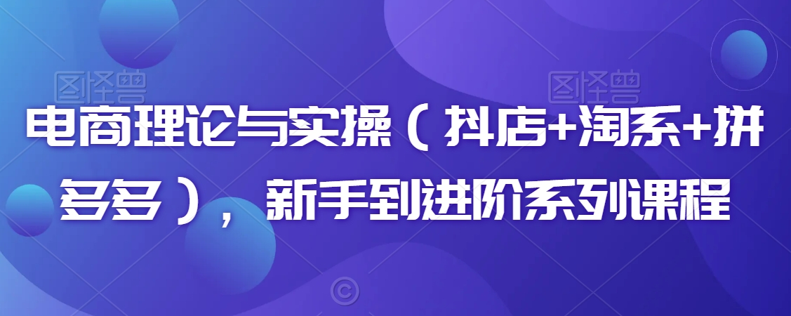 电商理论与实操（抖店+淘系+拼多多），新手到进阶系列课程-一点通资源网