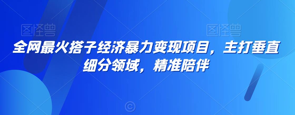 全网最火搭子经济暴力变现项目，主打垂直细分领域，精准陪伴【揭秘】-一点通资源网