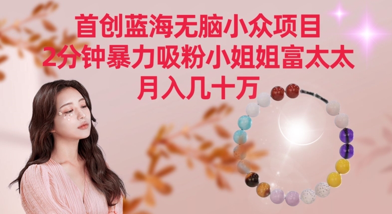 首创蓝海无脑小众项目，2分钟暴力吸粉小姐姐富太太，月入几十万【揭秘】-一点通资源网