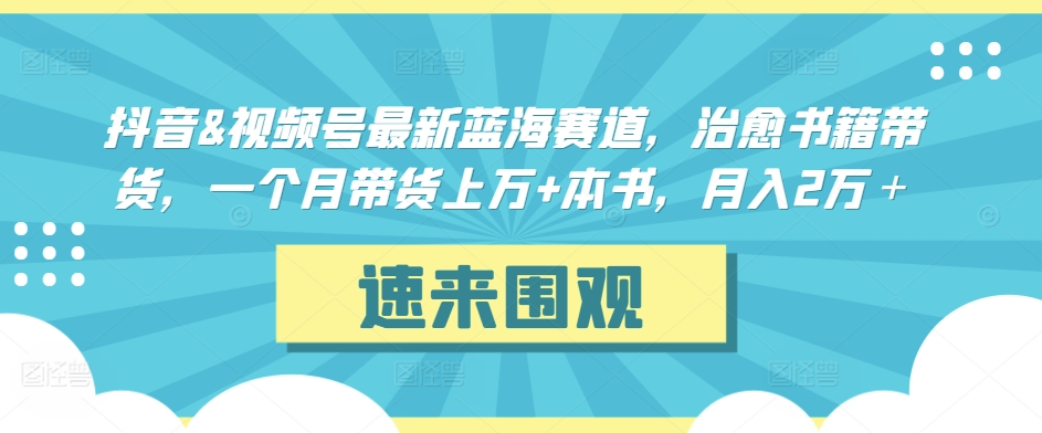 抖音&视频号最新蓝海赛道，治愈书籍带货，一个月带货上万+本书，月入2万＋【揭秘】-一点通资源网