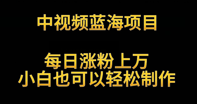中视频蓝海项目，解读英雄人物生平，每日涨粉上万，小白也可以轻松制作，月入过万不是梦【揭秘】-一点通资源网