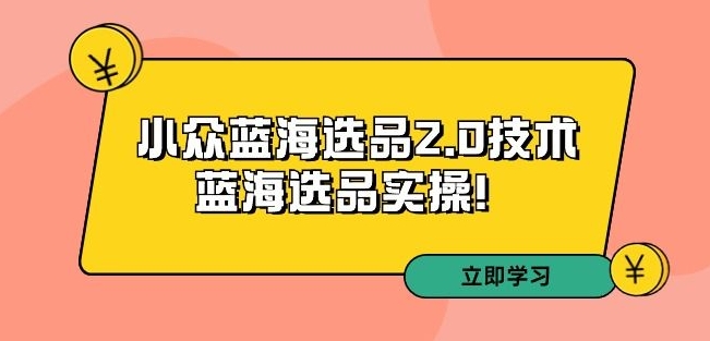 拼多多培训第33期：小众蓝海选品2.0技术-蓝海选品实操！-一点通资源网