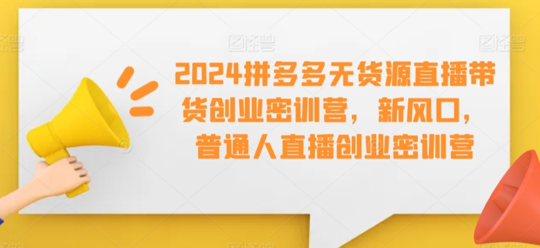 2024拼多多无货源直播带货创业密训营，新风口，普通人直播创业密训营-一点通资源网
