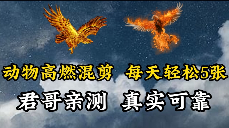 动物超燃混剪，每天轻松5张，剪辑简单大家爱看【揭秘】-一点通资源网