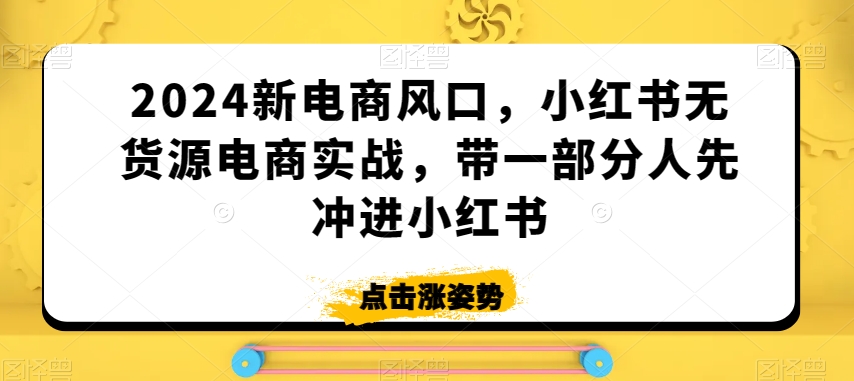 2024新电商风口，小红书无货源电商实战，带一部分人先冲进小红书-一点通资源网