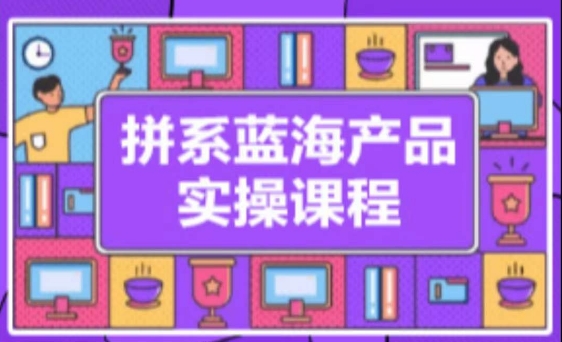 拼系冷门蓝海产品实操课程，从注册店铺到选品上架到流量维护环环相扣-一点通资源网