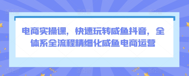 电商实操课，快速玩转咸鱼抖音，全体系全流程精细化咸鱼电商运营-一点通资源网