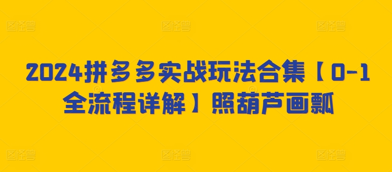 2024拼多多实战玩法合集【0-1全流程详解】照葫芦画瓢-一点通资源网