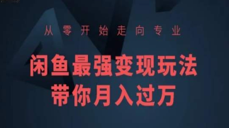从零开始走向专业，闲鱼最强变现玩法带你月入过万-一点通资源网