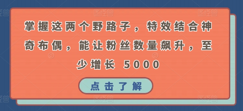 掌握这两个野路子，特效结合神奇布偶，能让粉丝数量飙升，至少增长 5000【揭秘】-一点通资源网