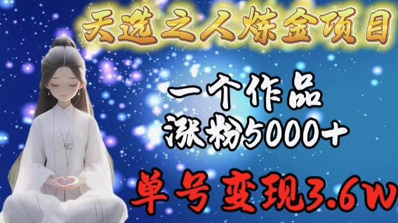 天选之人炼金项目，一个作品涨粉5000+，单号变现3.6w【揭秘】-一点通资源网