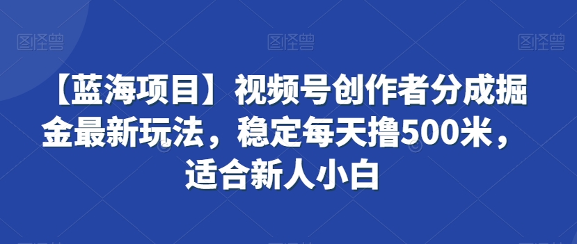 【蓝海项目】视频号创作者分成掘金最新玩法，稳定每天撸500米，适合新人小白【揭秘】-一点通资源网