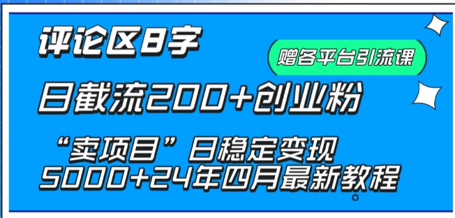 抖音评论区8字日截流200+创业粉 “卖项目”日稳定变现5000+【揭秘】-一点通资源网