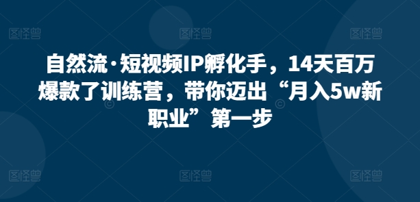 自然流·短视频IP孵化手，14天百万爆款了训练营，带你迈出“月入5w新职业”第一步-一点通资源网