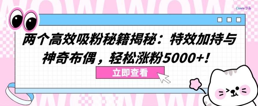 两个高效吸粉秘籍揭秘：特效加持与神奇布偶，轻松涨粉5000+【揭秘】-一点通资源网