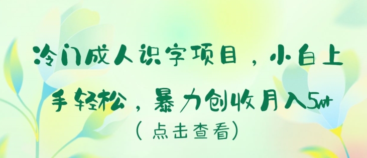 冷门成人识字项目，小白上手轻松，暴力创收月入5w+【揭秘】-一点通资源网