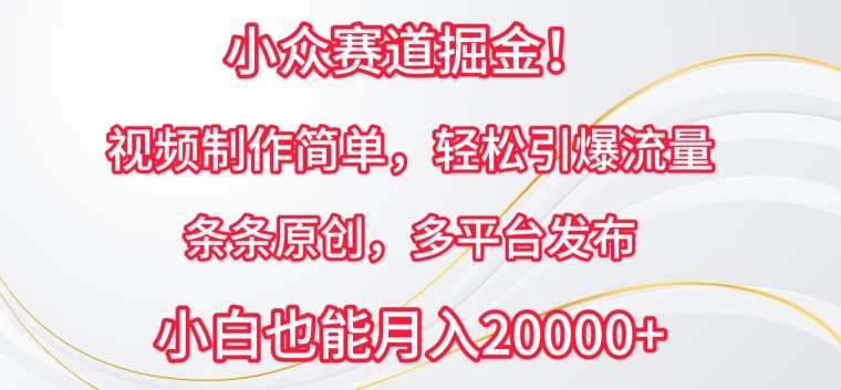 小众赛道掘金，视频制作简单，轻松引爆流量，条条原创，多平台发布【揭秘】-一点通资源网