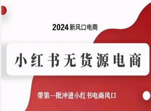 2024新风口电商,小红书无货源电商,带第一批冲进小红书电商风口-一点通资源网